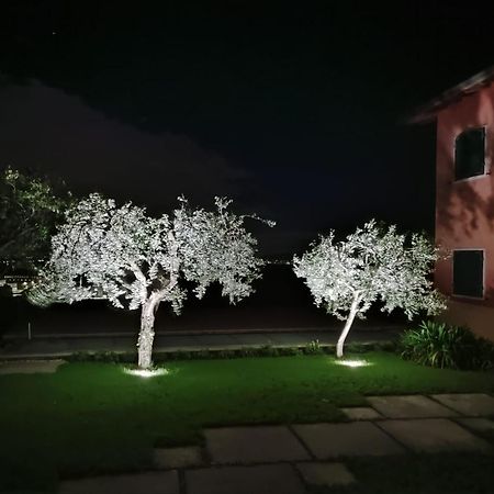 Appartamenti Miralago Pastrengo Bagian luar foto